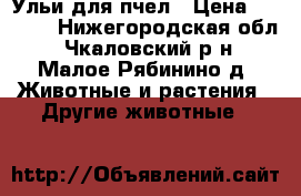 Ульи для пчел › Цена ­ 6 500 - Нижегородская обл., Чкаловский р-н, Малое Рябинино д. Животные и растения » Другие животные   